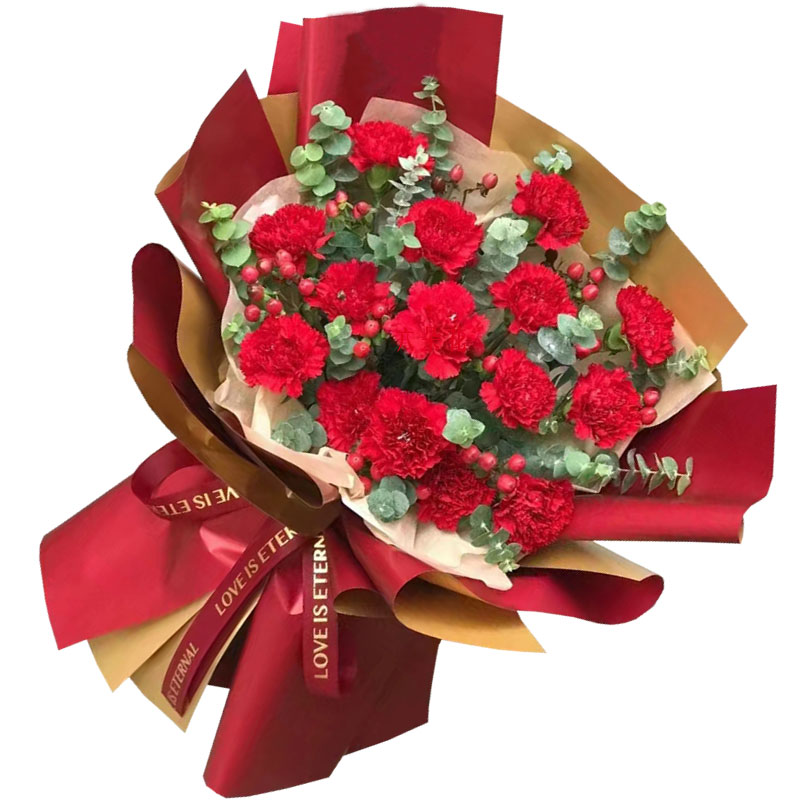15朵红色康乃馨，生活绽放芬芳