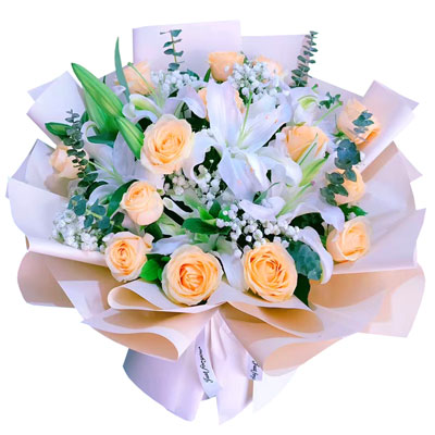 鹤壁16朵香槟玫瑰2支百合，爱的温暖和幸福