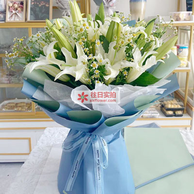 鹤壁8支白色多头百合洋甘菊，互倾的思念