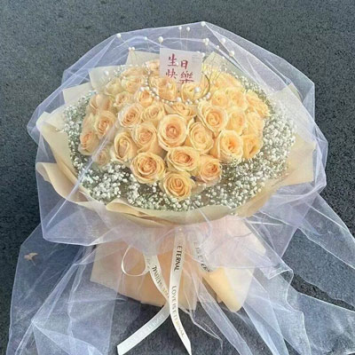 鹤壁52朵香槟玫瑰满天星，你就是我的全部