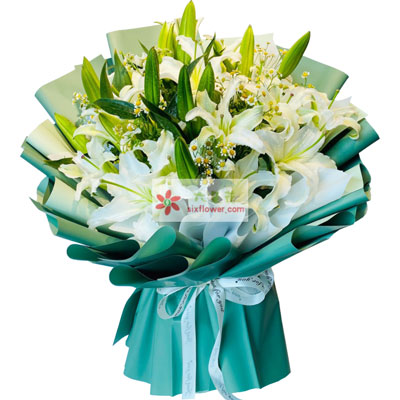 鹤壁8支白色多头百合洋甘菊，如潮的思念