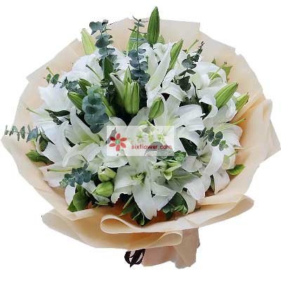 鹤壁9支白色多头百合，祝福你幸福