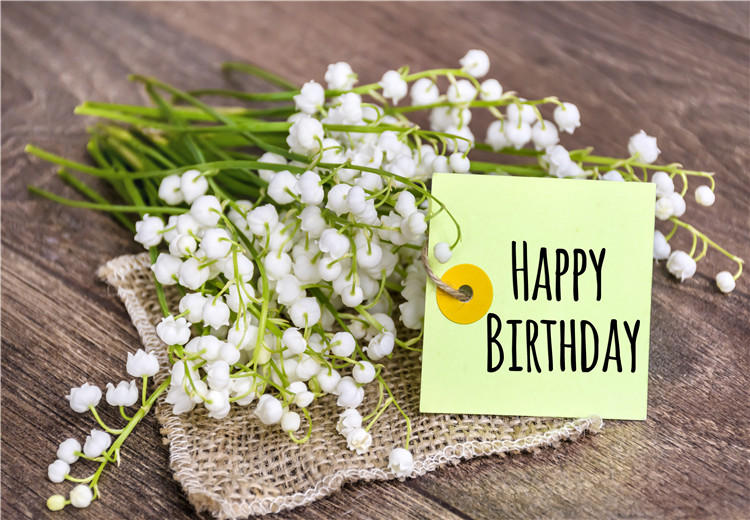 鹤壁好朋友过生日，生日祝福语怎么说？